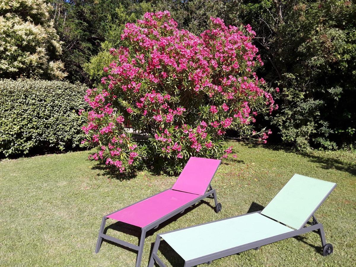 Le Mas Du Chat Bed & Breakfast Cavaillon Bagian luar foto